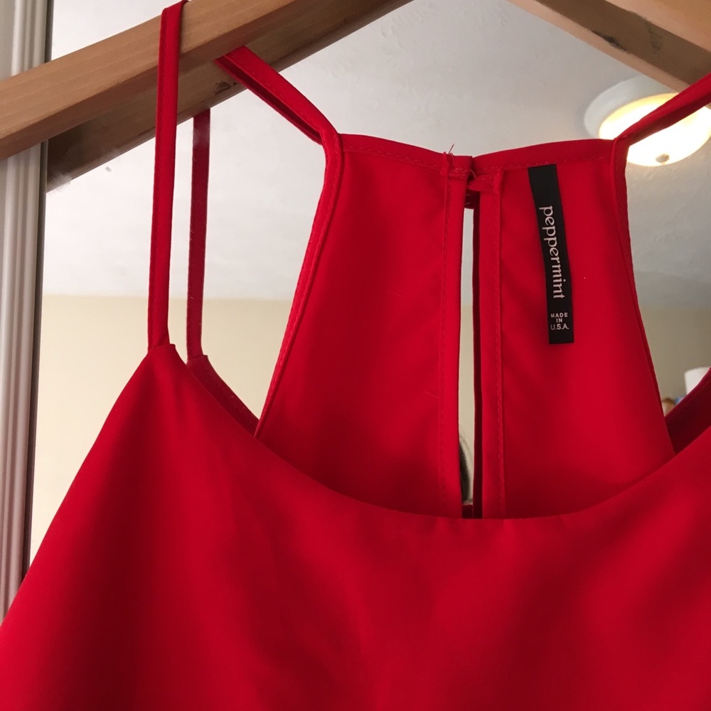 Red Satin Razorback Tank Dress - Picture 3 of 4
